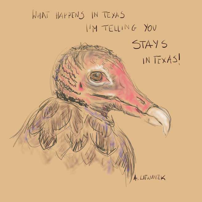 Wszystko jest większe w Teksasie, czyli T-6 kontra turkey vulture>